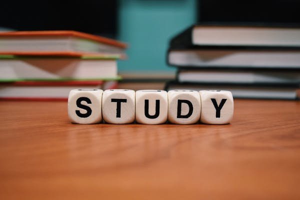 Alternance ou cursus classique : quel choix privilégier ?